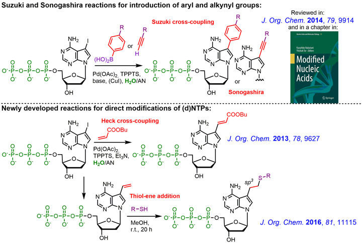 Desing and synthesis of novel C-nucleosides for chemical biology
