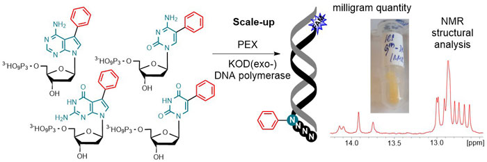 Chemical biology of base-modified nucleic acids