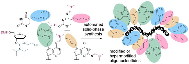 Chemical biology of base-modified nucleic acids