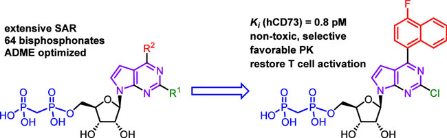 Chemical biology of base-modified nucleic acids